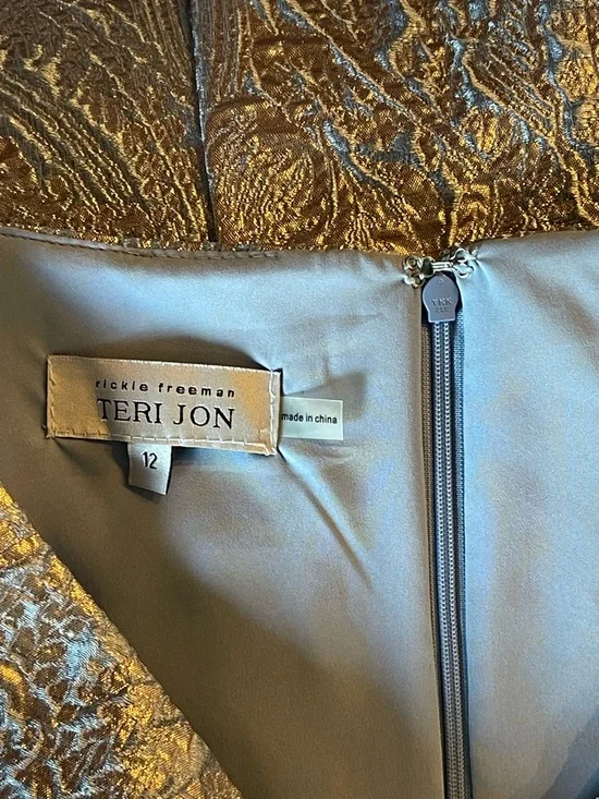 Rickie Freeman for Teri Jon Silver Metallic Brocade Cocktail Dress Size 12 EUC - Picture 6 of 9